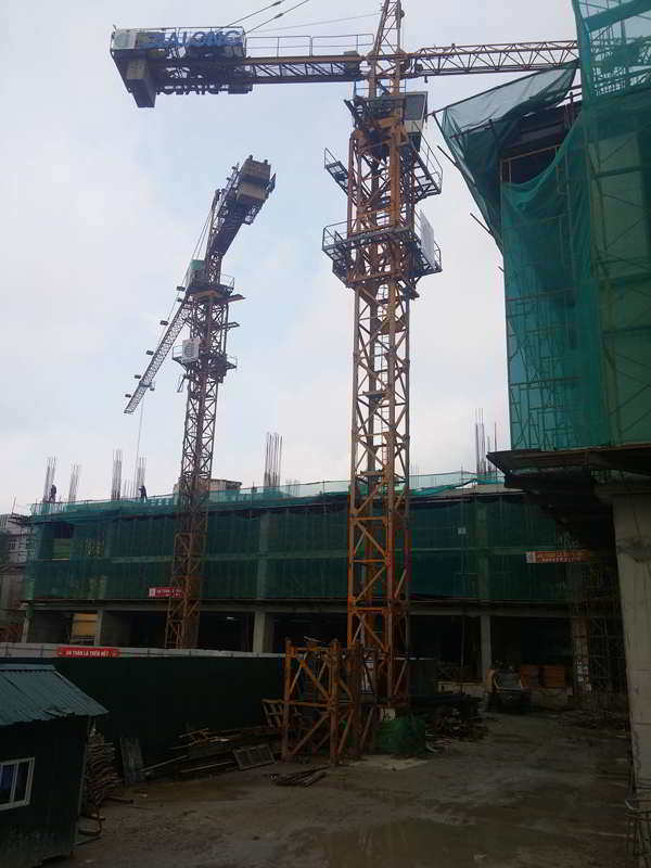Hình 5